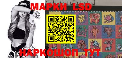 амф Бердск