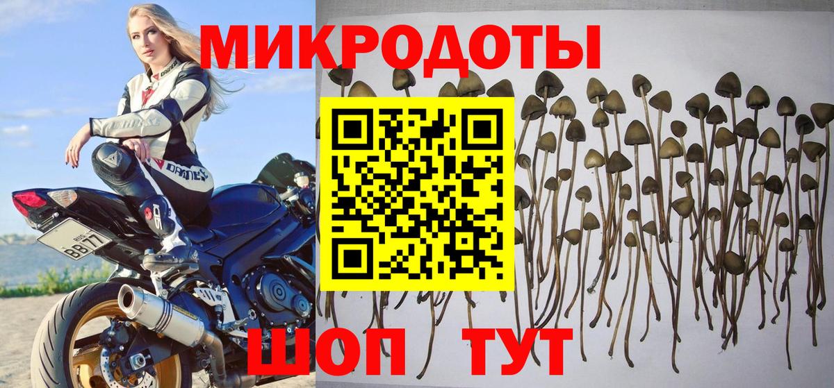 как найти   Псилоцибиновые грибы ЛСД  Вход с VPN  Верхняя Салда 